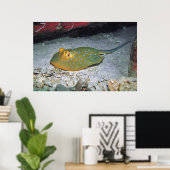 Poster Stingray de queue de ruban bleu (Bureau à domicile)