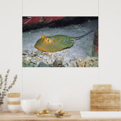 Poster Stingray de queue de ruban bleu (Cuisine)