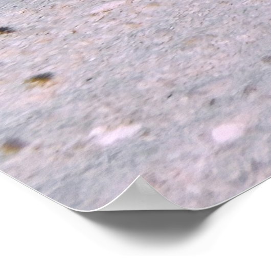 Poster Stingray jaune dans le sable (Coin)