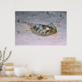 Poster Stingray jaune dans le sable (Cuisine)