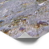 Poster Stingray tacheté bleu (Coin)