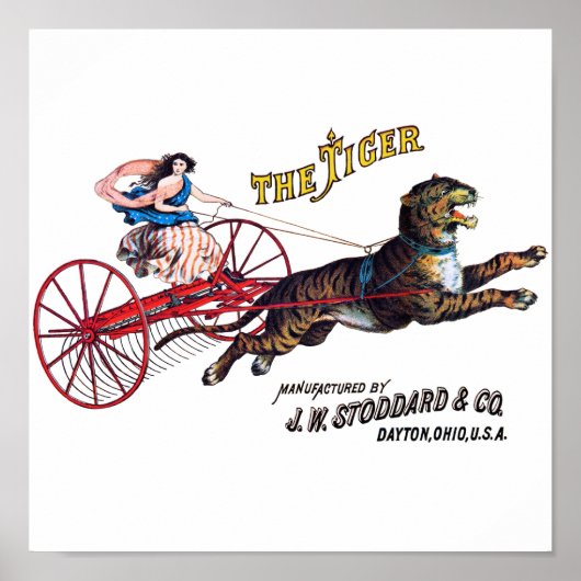 Poster Stoddard Tiger (Devant)