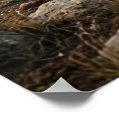 Poster Stone Bison Endless Plains (Coin)