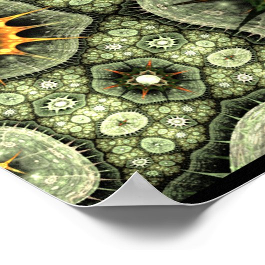 Poster Stone Lichen (Coin)