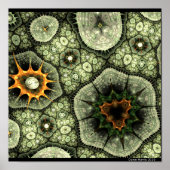 Poster Stone Lichen (Devant)