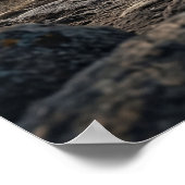 Poster Stone Rhino Rugged Plains (Coin)