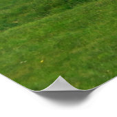 Poster Stonehenge, Angleterre (Coin)