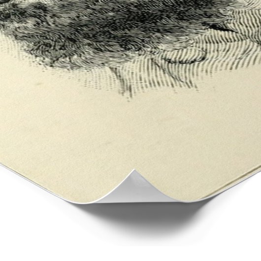 Poster Stonewall Jackson (Coin)