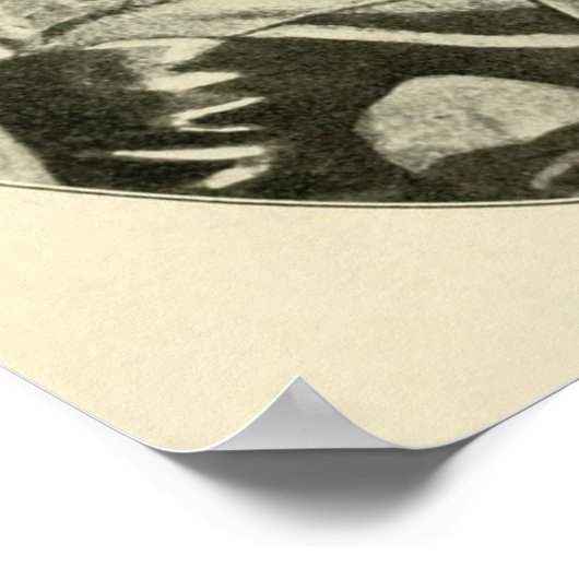 Poster Stonewall Jackson (Coin)