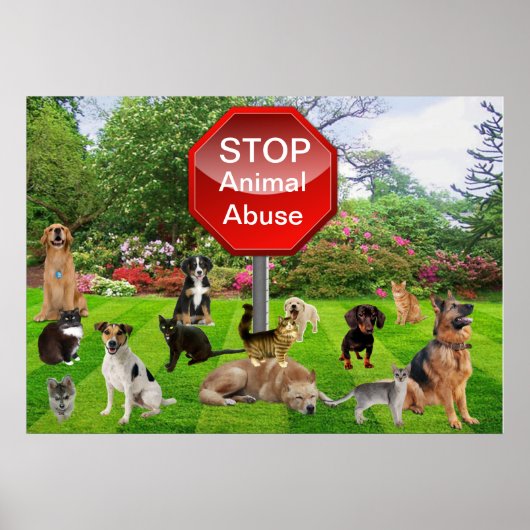 Poster Stop Animal Abuse (Devant)