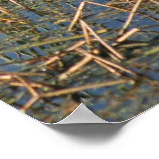 Poster Stores en bois (Coin)