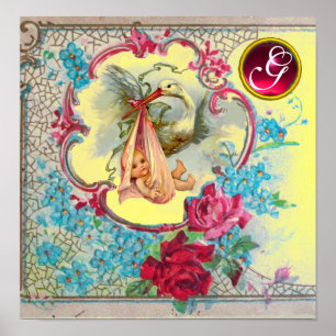 Poster STORK BÉBÉ FILLE DOUCHE Ruby Gem Pierre Monogramme