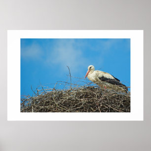 Poster Stork's Nest