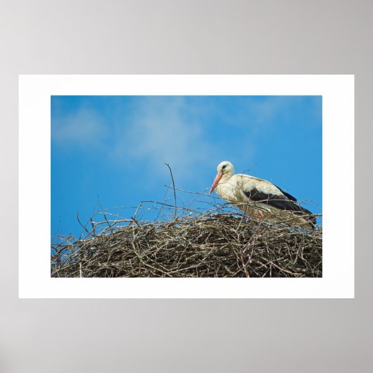 Poster Stork's Nest (Devant)