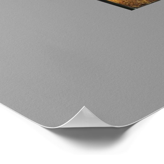 Poster Storm Pass (Coin)