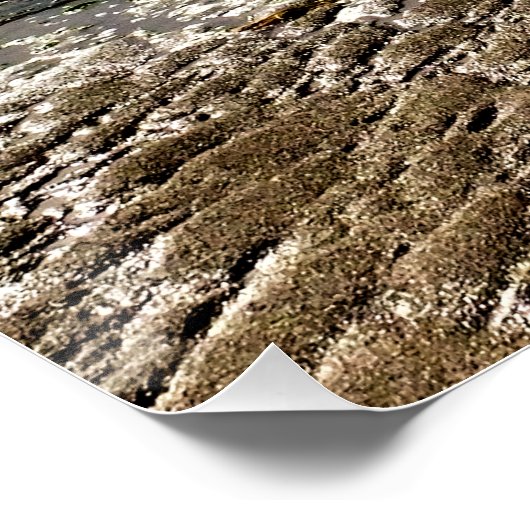 POSTER STORMY SKY (Coin)