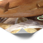 Poster Story Gourd - Rooster Gourd (Coin)