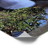 Poster Stourhead Garden, Wiltshire, Angleterre (Coin)