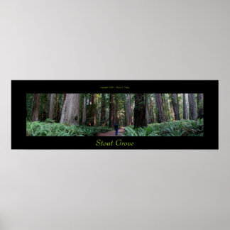 Poster Stout Grove Redwood Trees
