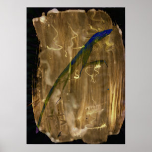 Poster STP - 002 - Gecko