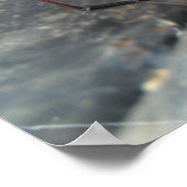 Poster Strands Silken (Coin)