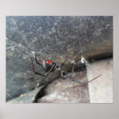 Poster Strands Silken (Devant)