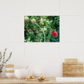 Poster Strawberries in June (Cuisine)