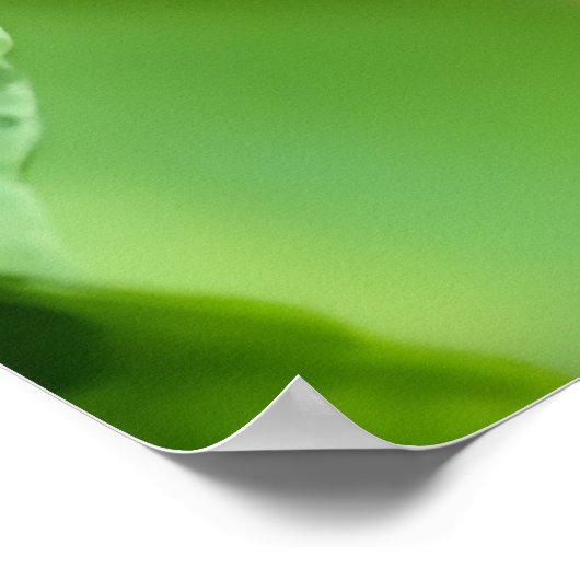 Poster Strawberry Finch  (Coin)