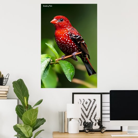 Poster Strawberry Finch  (Bureau à domicile)