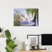 Poster Strelitzia par Marianne North - Paysage exotique (Bureau à domicile)