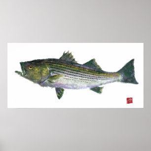 Poster Stried Bass Gyotaku Open Edition