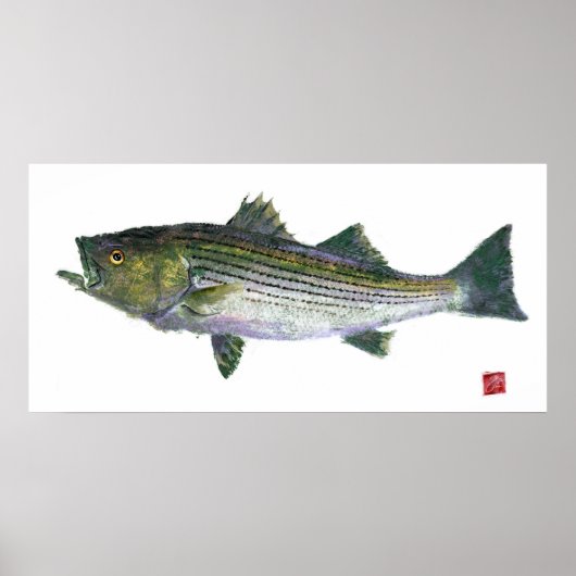 Poster Stried Bass Gyotaku Open Edition (Devant)