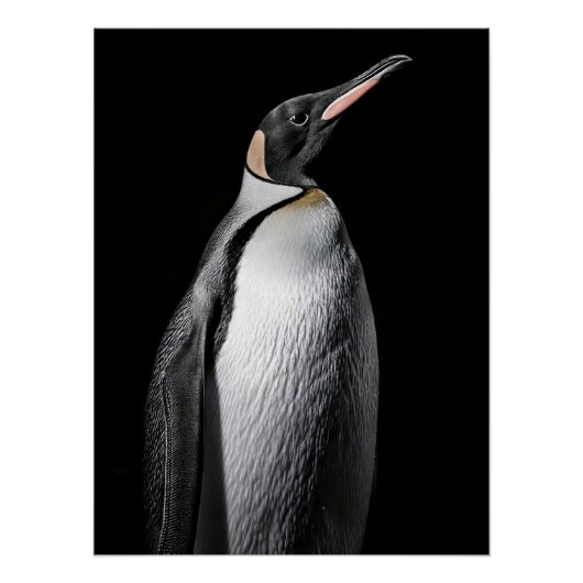 Poster  Striking High Contrast Emperor Penguin Fine Art  (Devant)