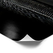 Poster  Striking High Contrast Emperor Penguin Fine Art  (Coin)