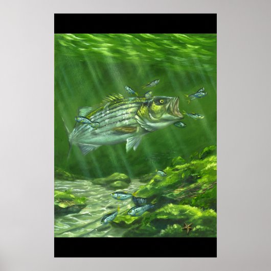 Poster "Striped Bass on the Rocks" (Devant)