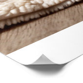 Poster Striped Tabby Cat Photography Art Print (Coin)