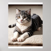 Poster Striped Tabby Cat Photography Art Print (Devant)