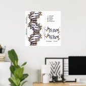 Poster Structure de l'ADN Diagramme acide désoxyribonuclé (Bureau à domicile)