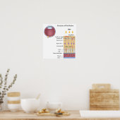 Poster Structure de l'affiche Retina (Cuisine)