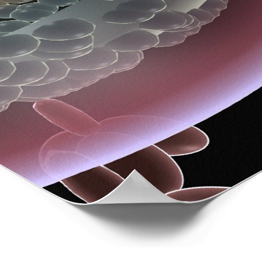 Poster Structure d'une cellule VIH (Coin)