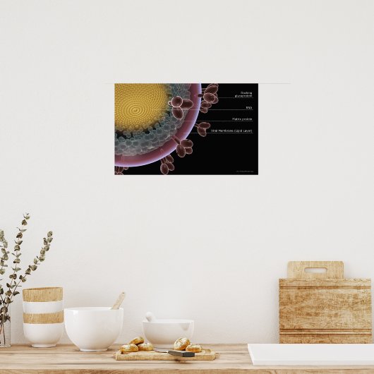 Poster Structure d'une cellule VIH (Cuisine)