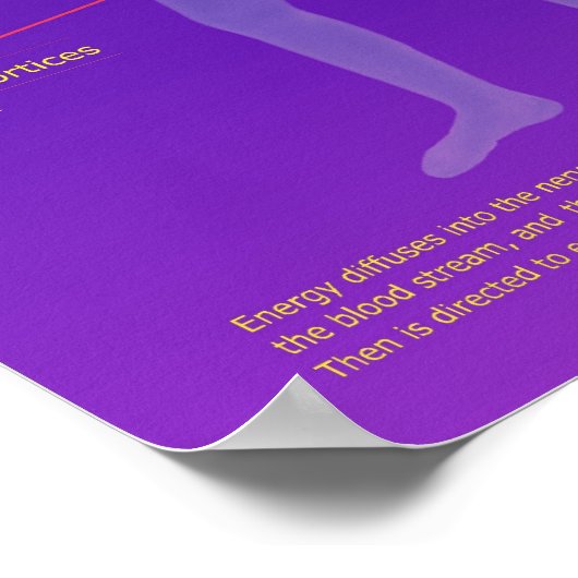 Poster Structure et fonction de Chakra (Coin)