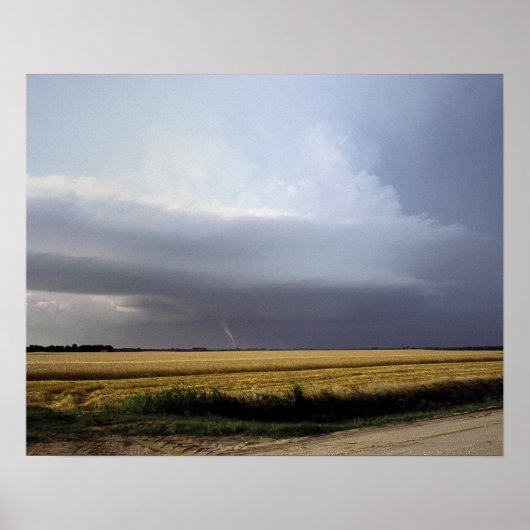 Poster Structure supercellulaire (Devant)