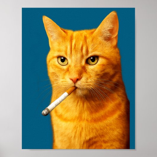 Poster Stud Cool Funny Cat Meme Smoking Cat Cigarette (Devant)