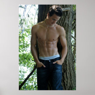 Poster Stud forestier