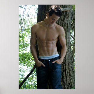 Poster Stud forestier