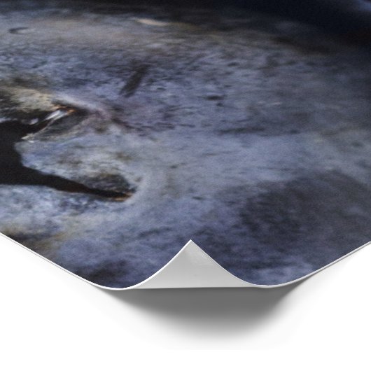 Poster Studio photo de bleuets 3 (Coin)