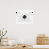 Poster Studio photo de papillon blanc à veine pointue (Cuisine)