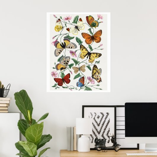 Poster Study of Diurnal butterflies by Paul Gervais (Bureau à domicile)