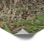 Poster Stump patriotique (Coin)